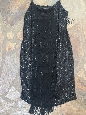 Black Sequin Fringe Flapper Dress Gatsby